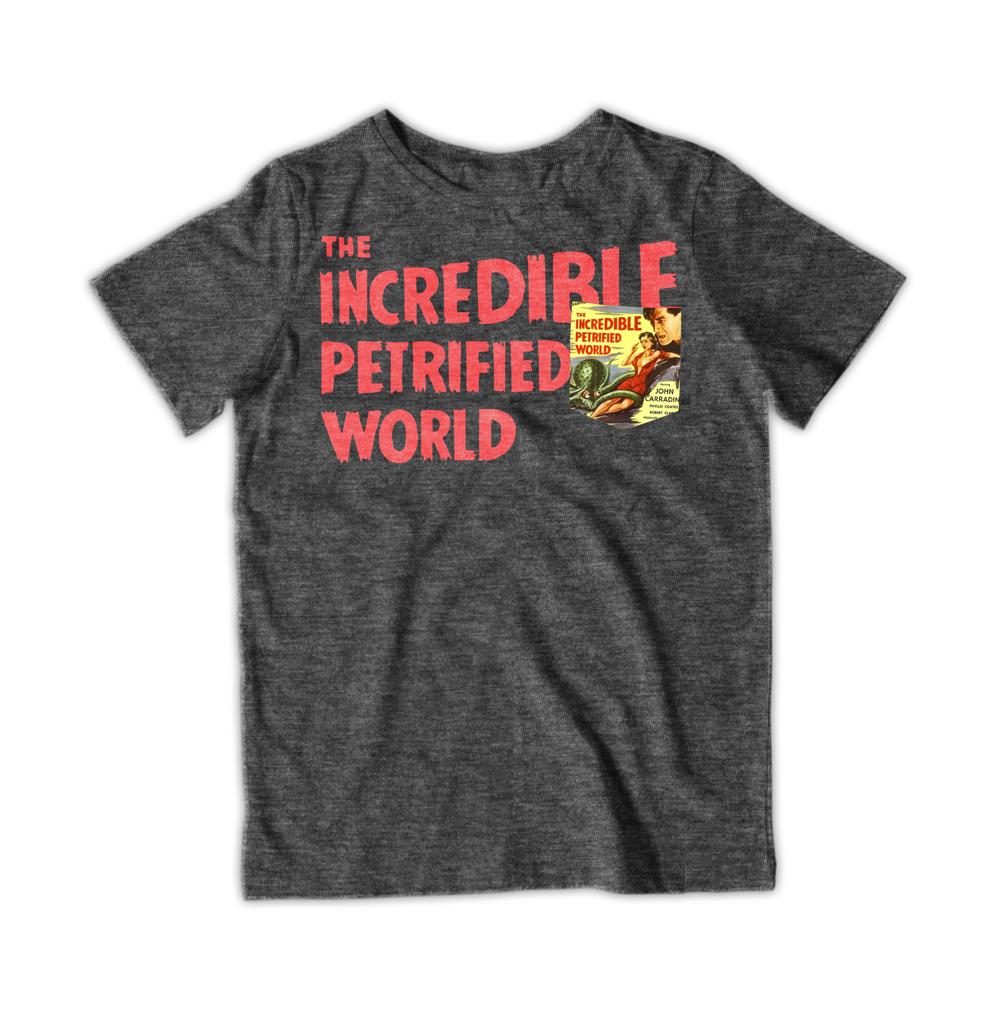 Raygun The Incredible Petrified World Pocket T-Shirt Xs / Heather Graphite Tshirts